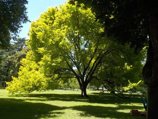 Jardins de Carlton
